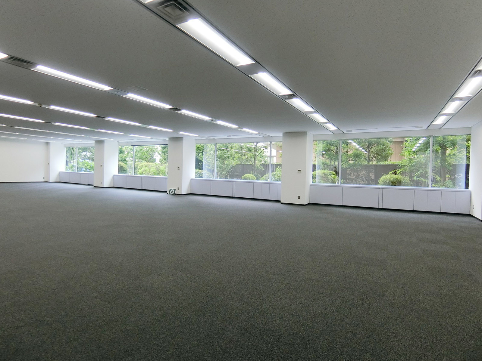 窓際の様子(1階)