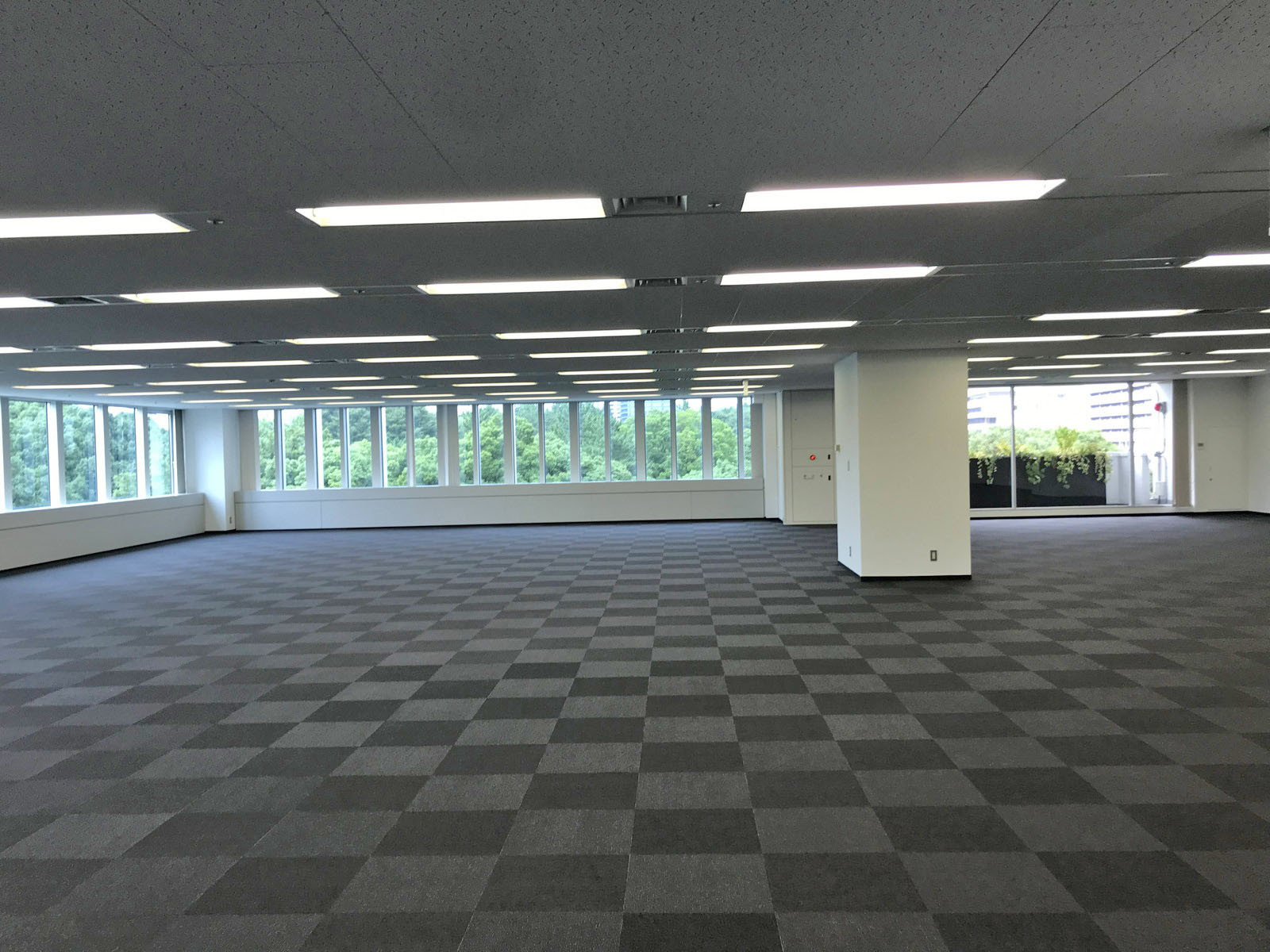 別角度の様子