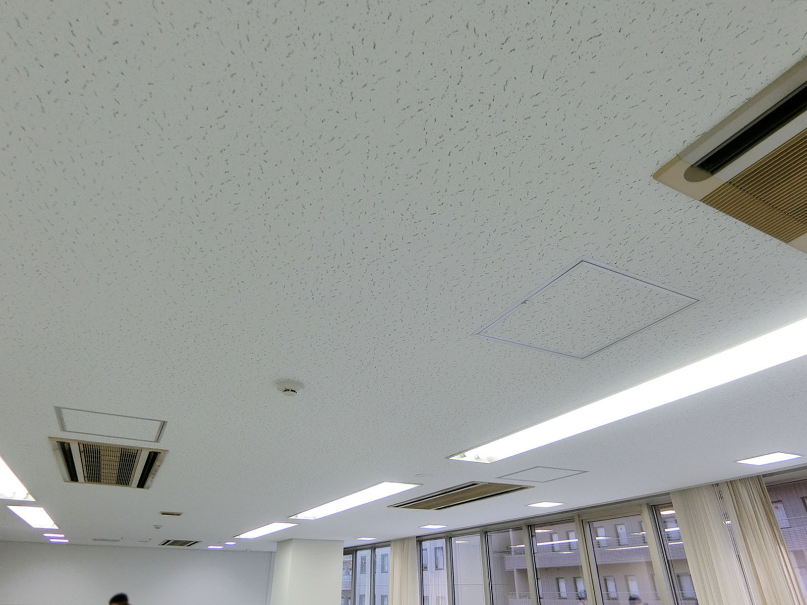 天井の様子