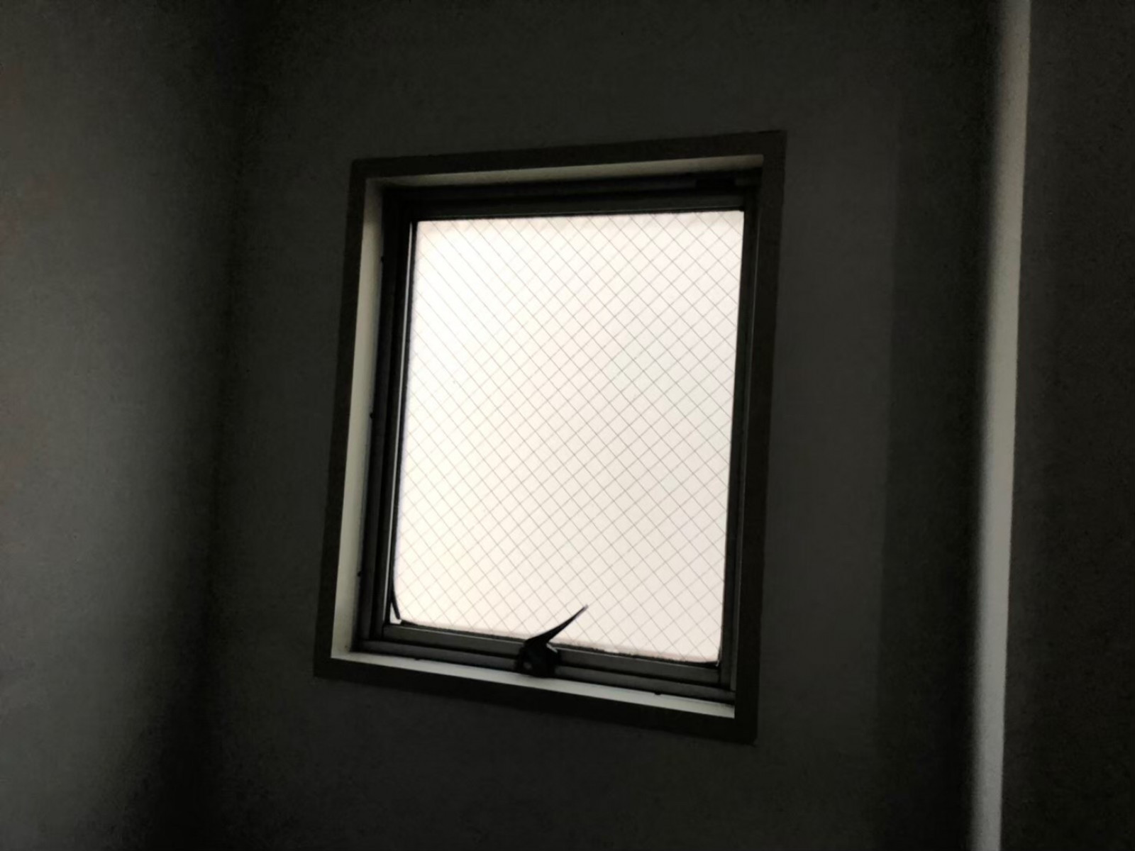 お部屋の雰囲気 画像11