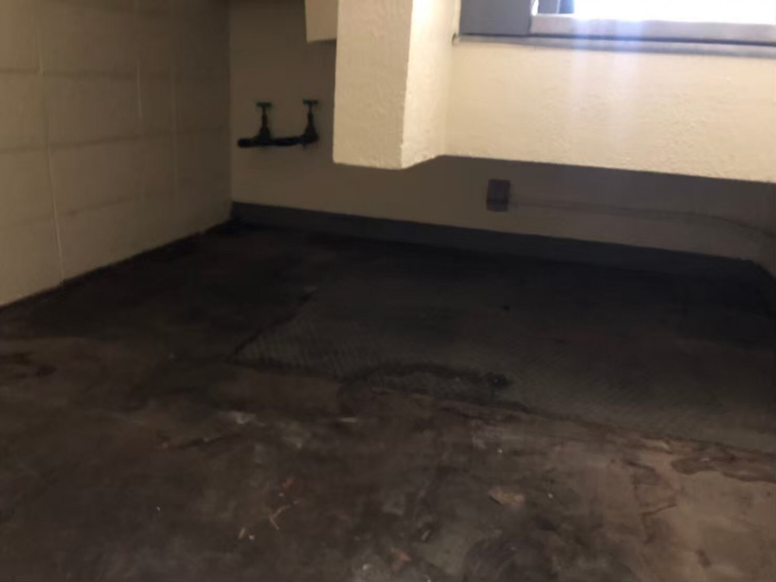 お部屋の雰囲気 画像50