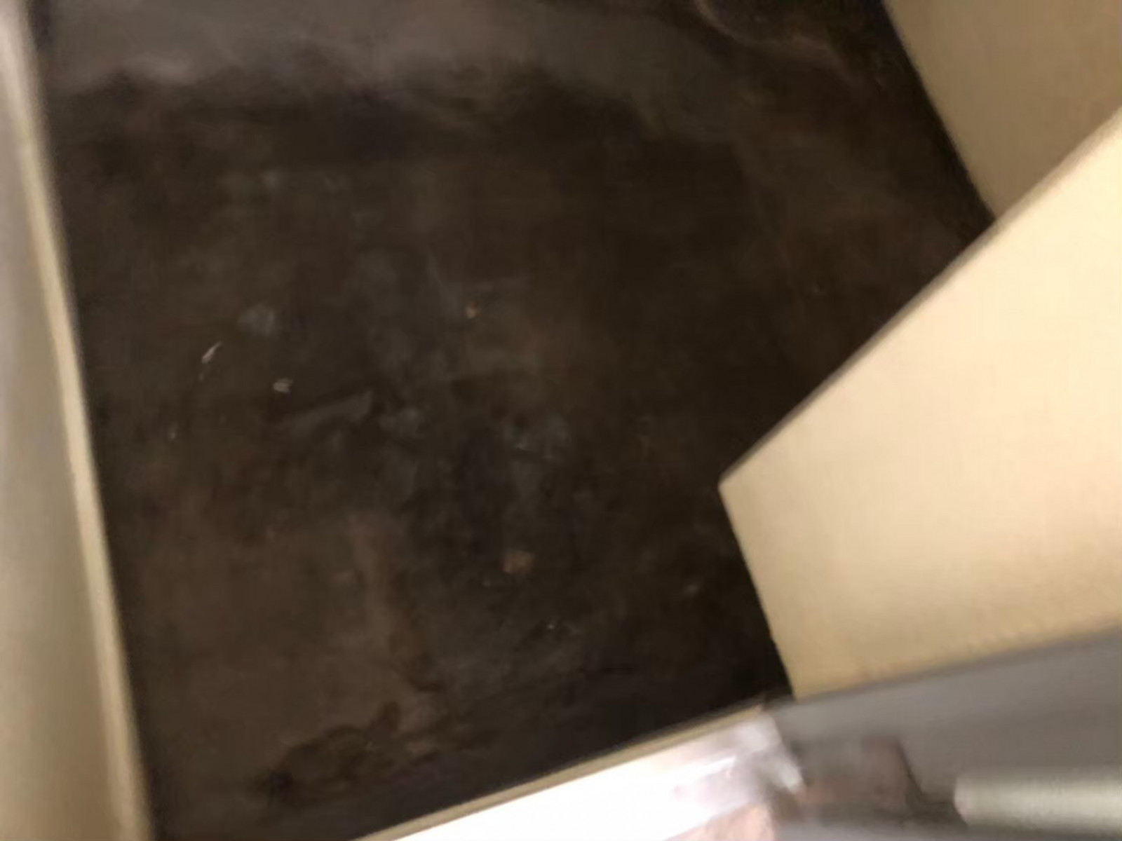 お部屋の雰囲気 画像55