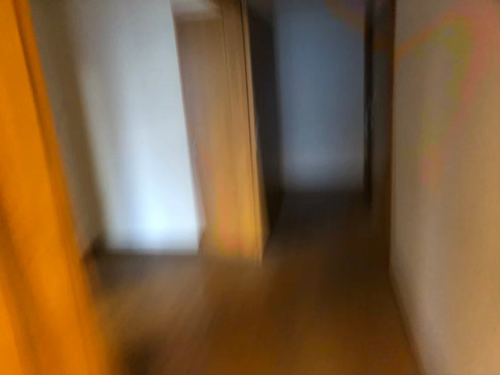 お部屋の雰囲気 画像63