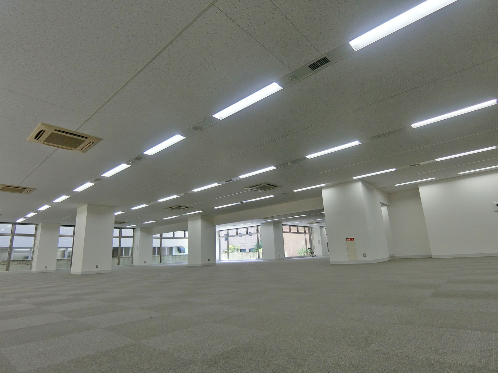 天井の様子