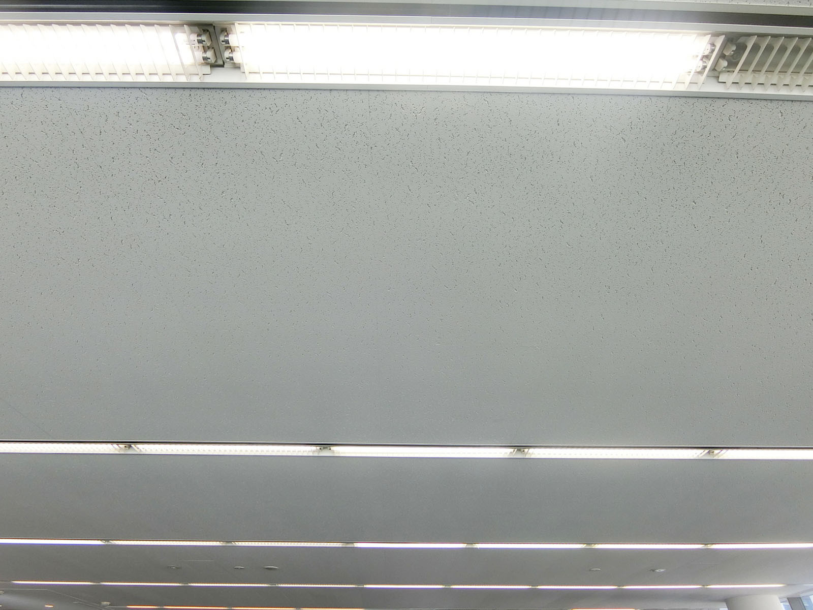 天井の様子