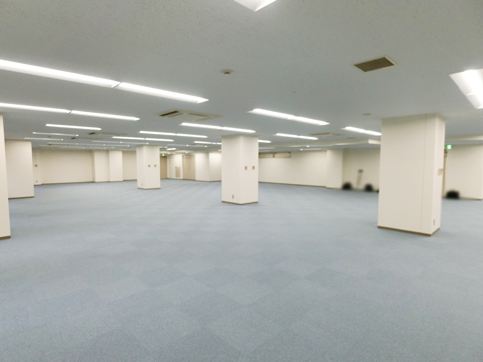 別角度の様子