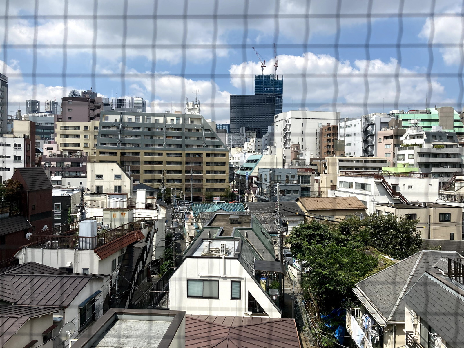 眺望