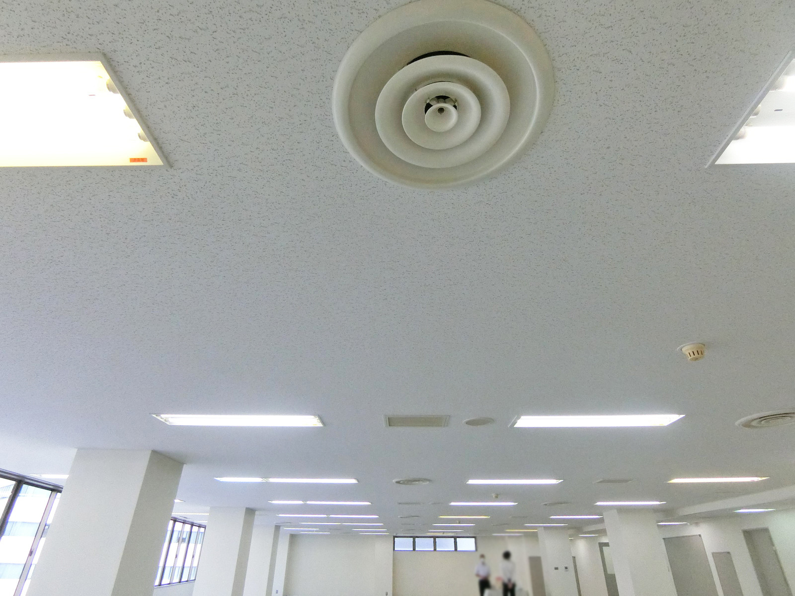 天井の様子