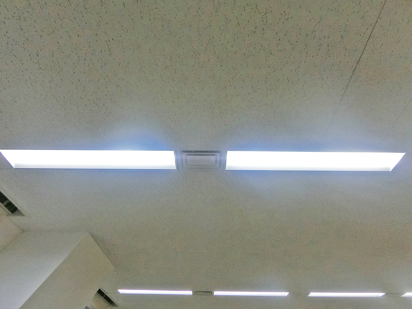 天井の様子