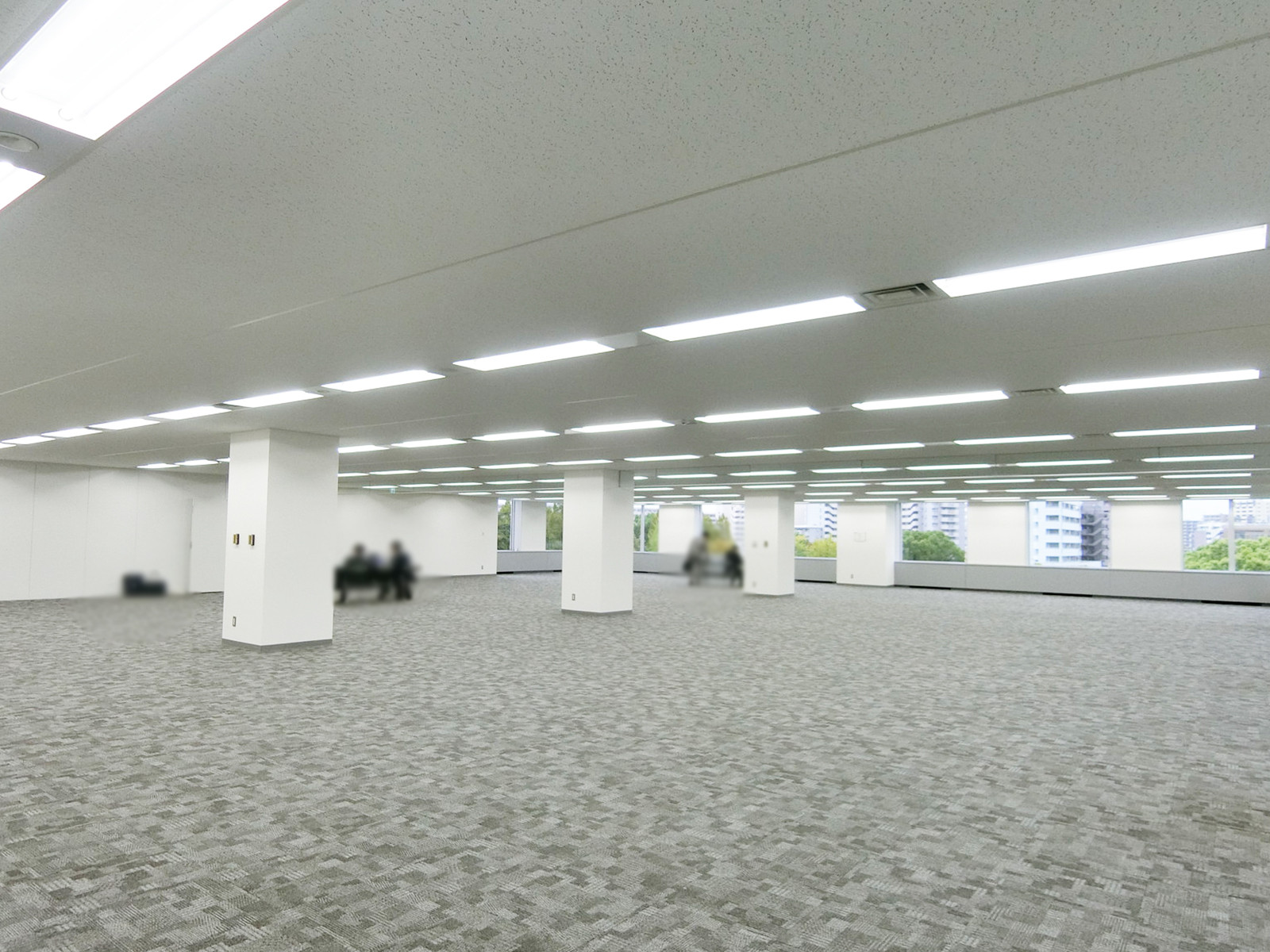 別角度の様子