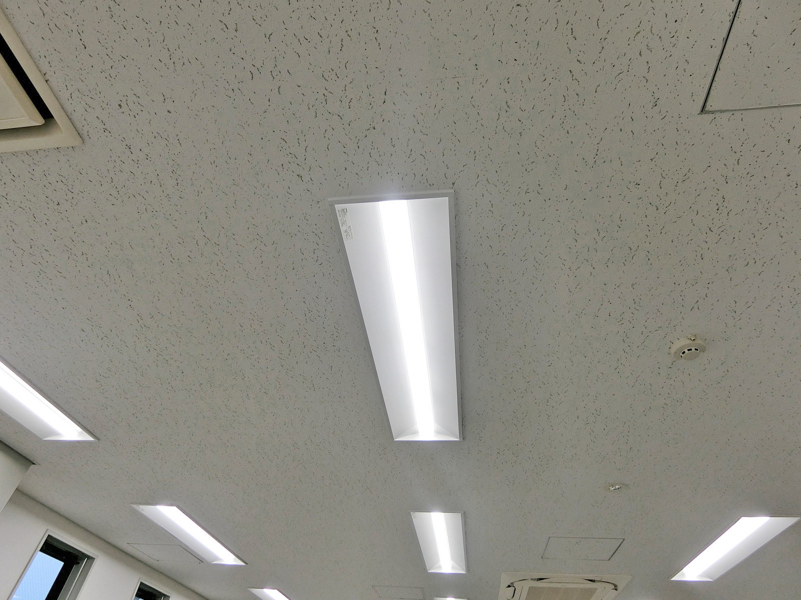 照明の様子