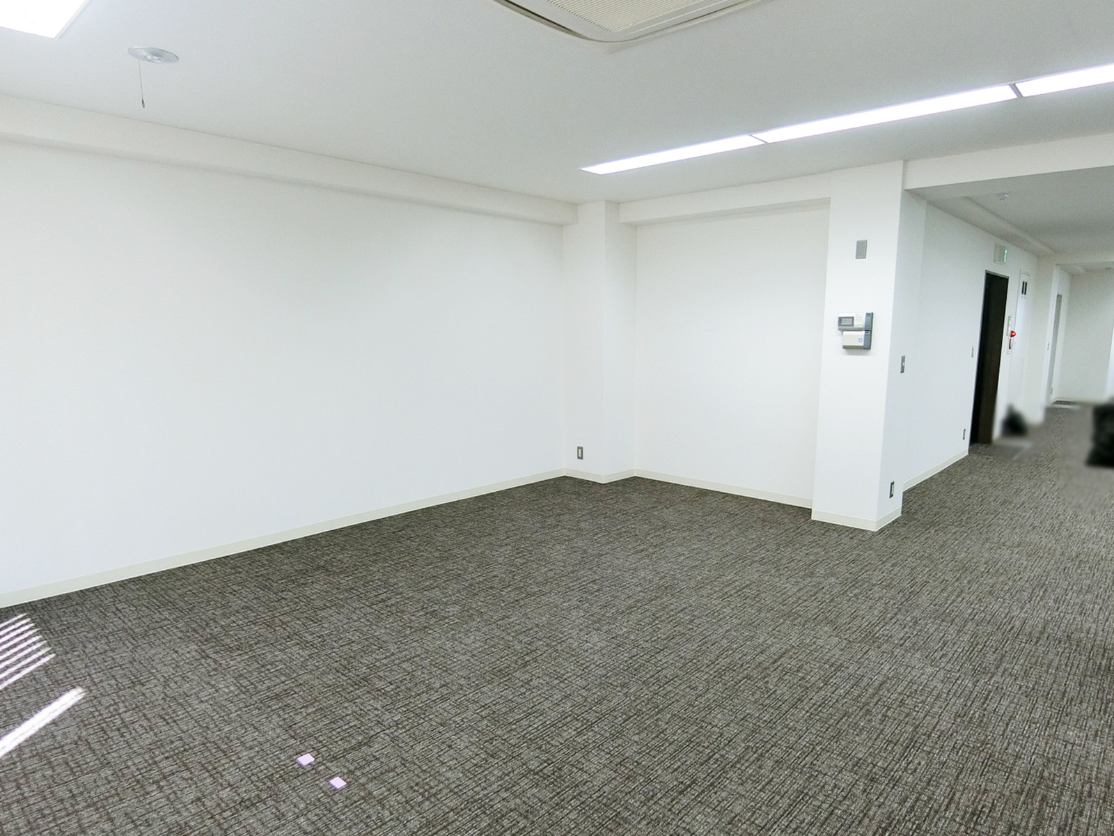 別角度の様子