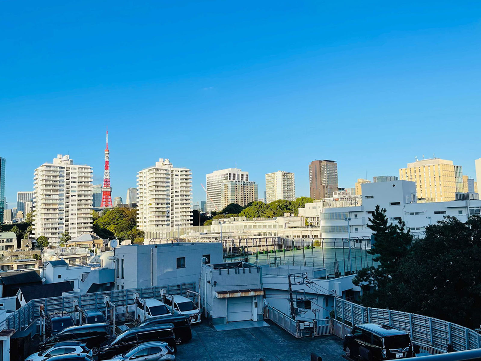 東京タワーが見える