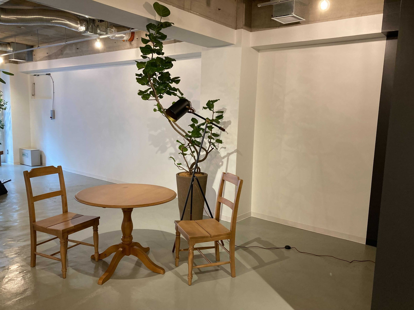 お部屋の雰囲気 画像14