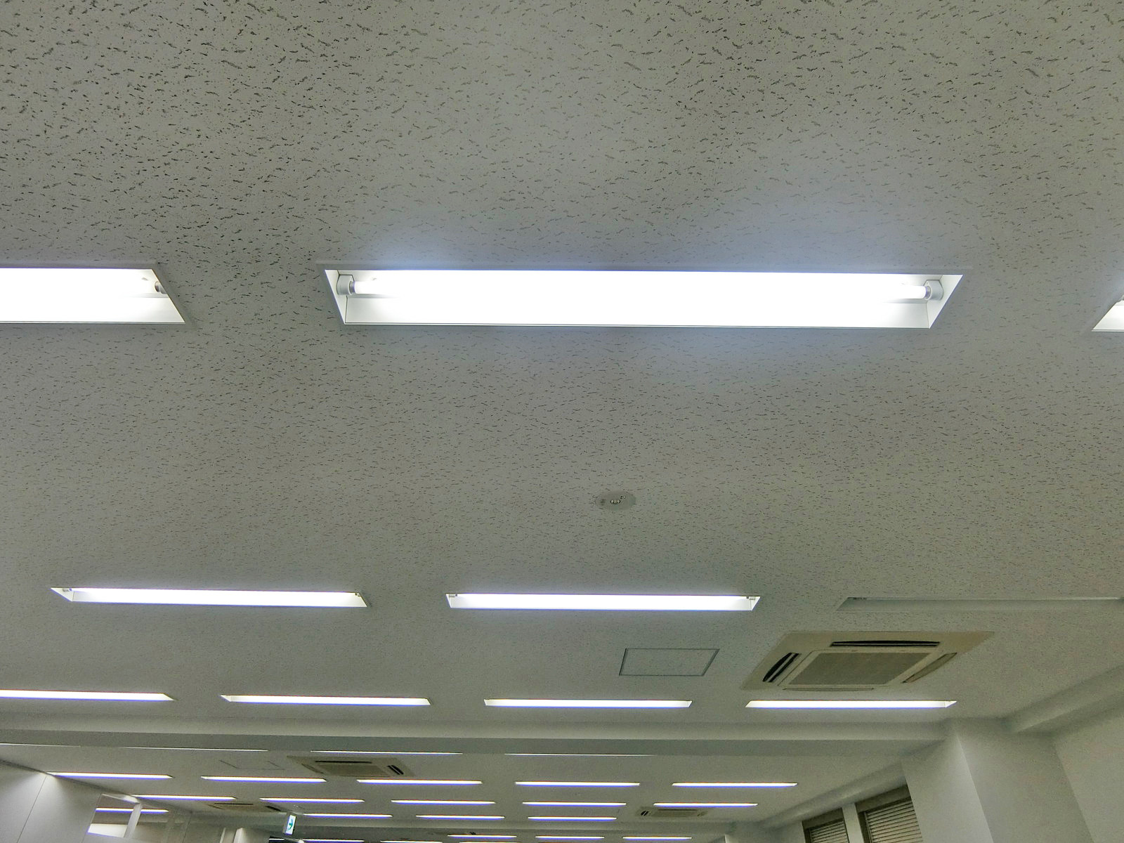 天井の様子