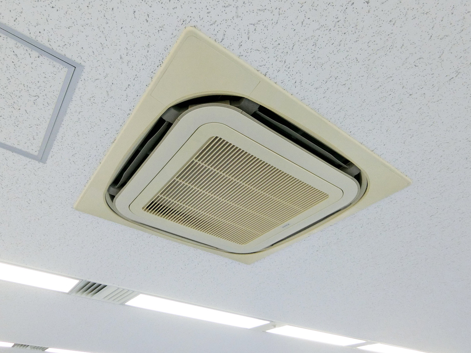 天井の様子