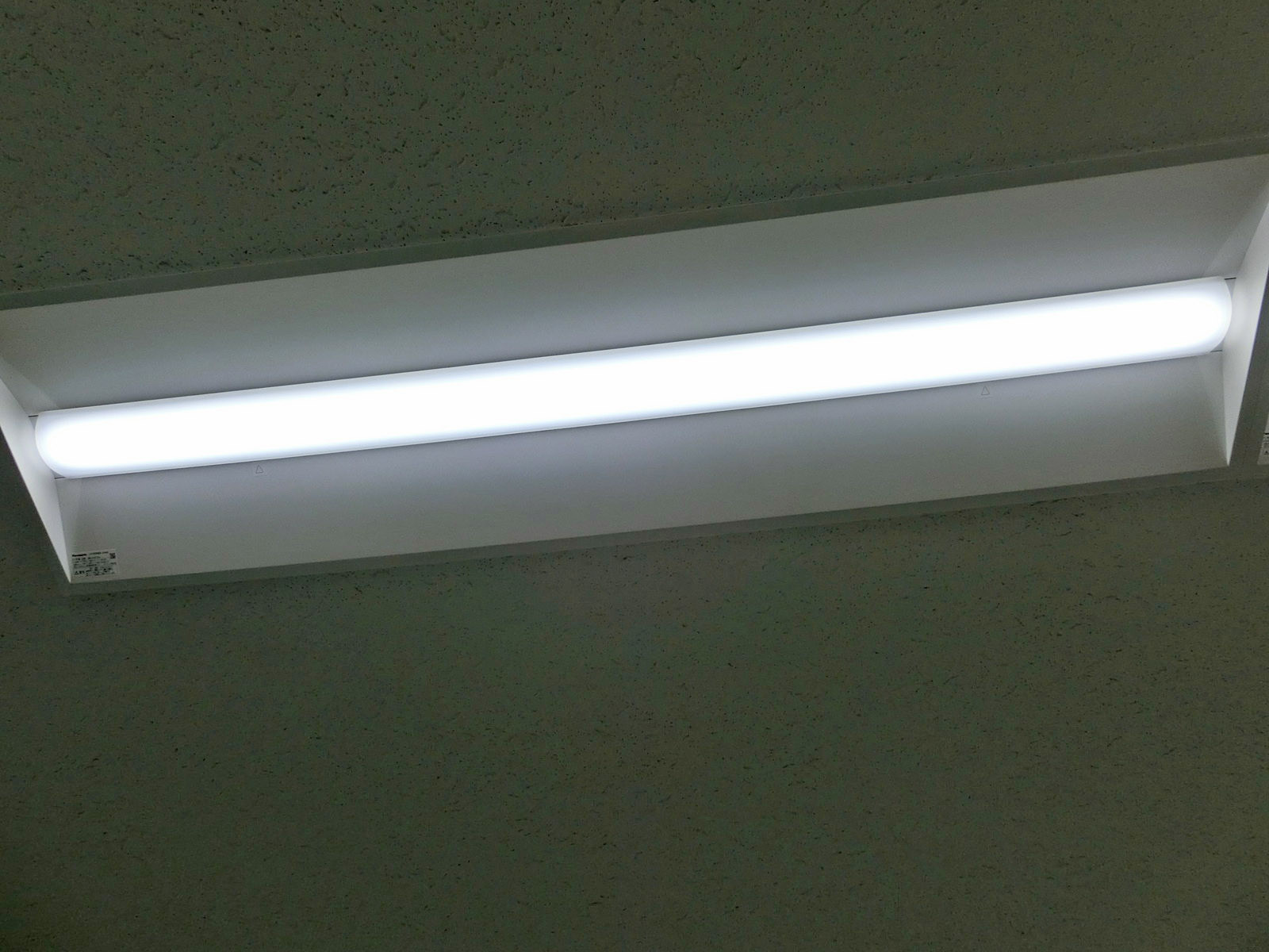 電灯
