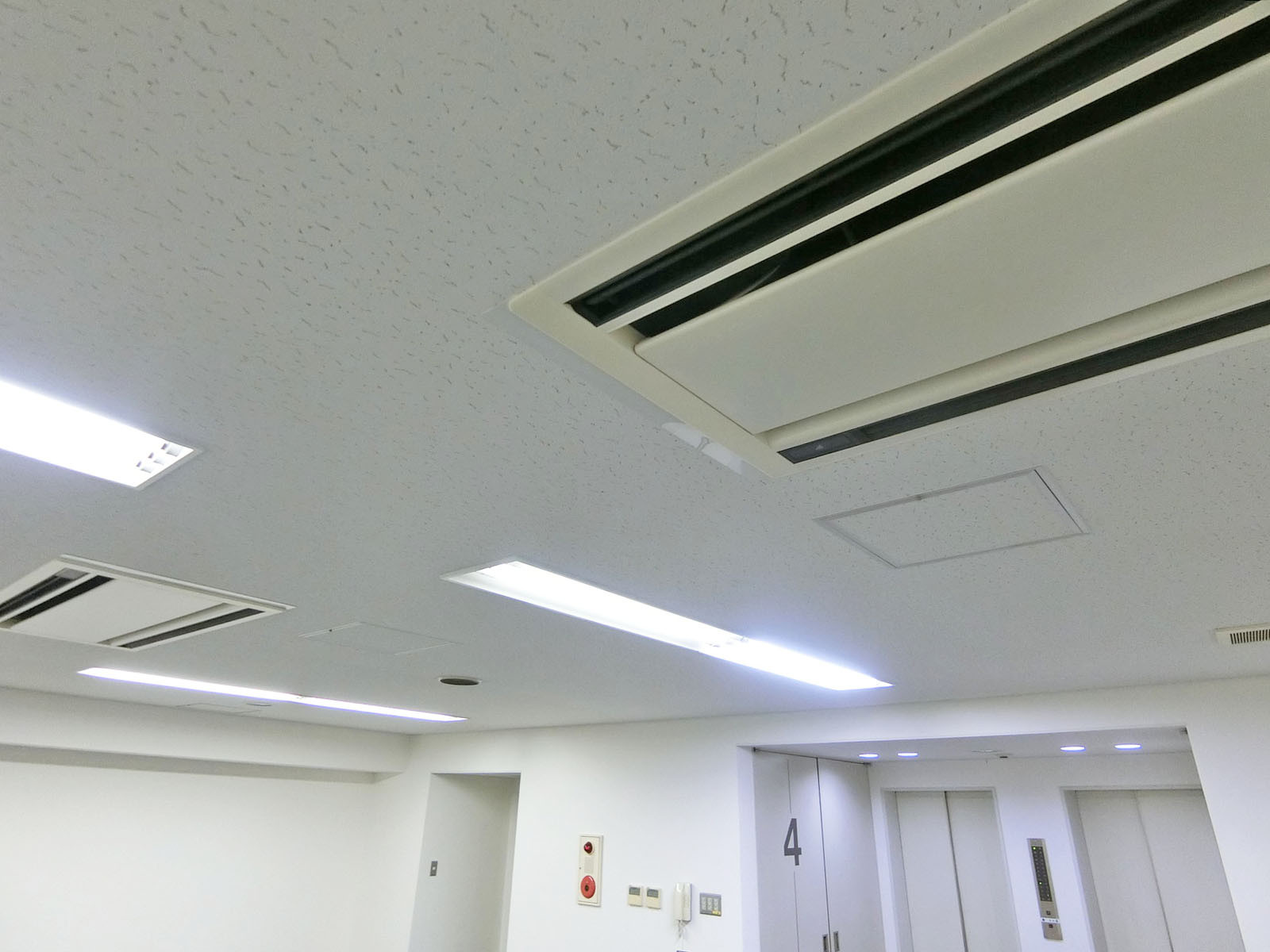 天井の様子