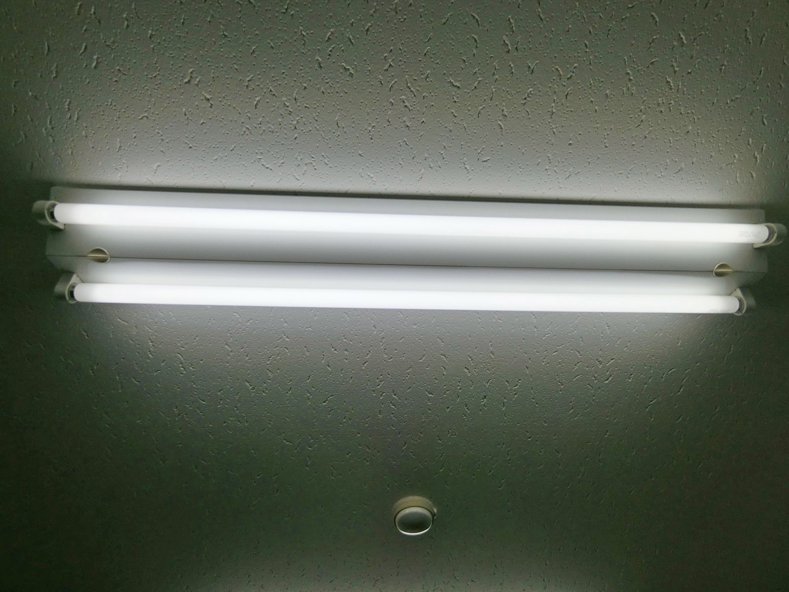 電灯