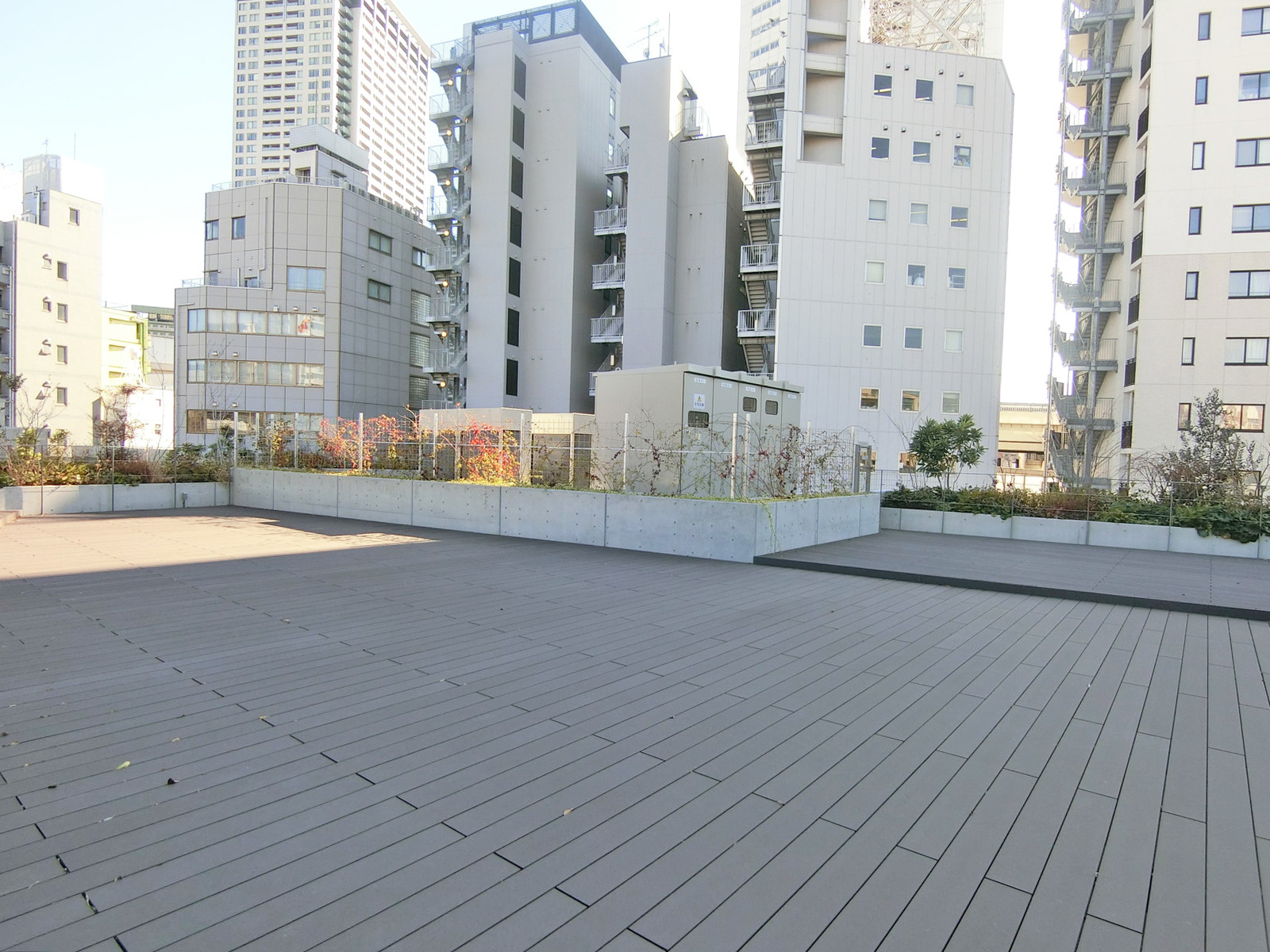 屋上の様子