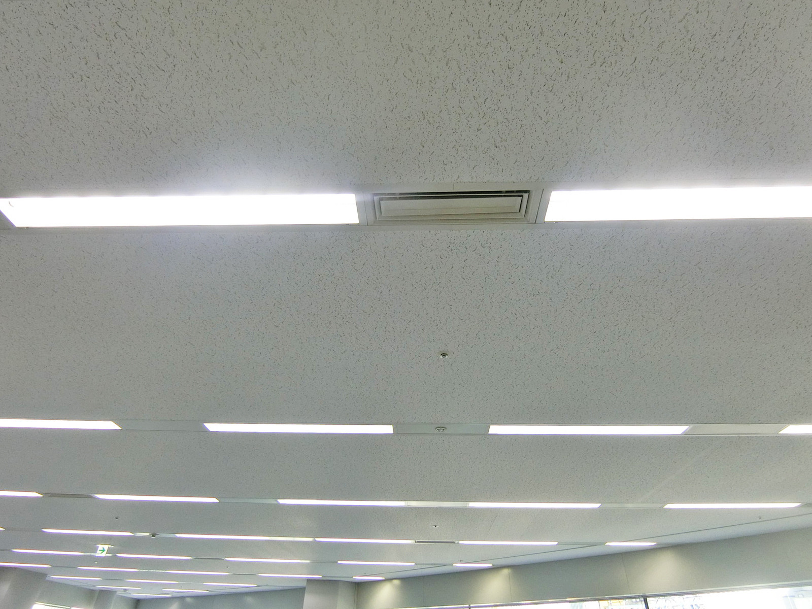 天井の様子