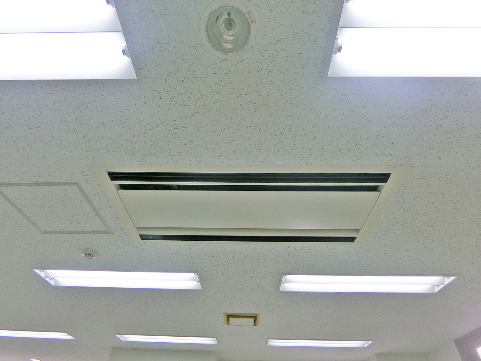 天井の様子