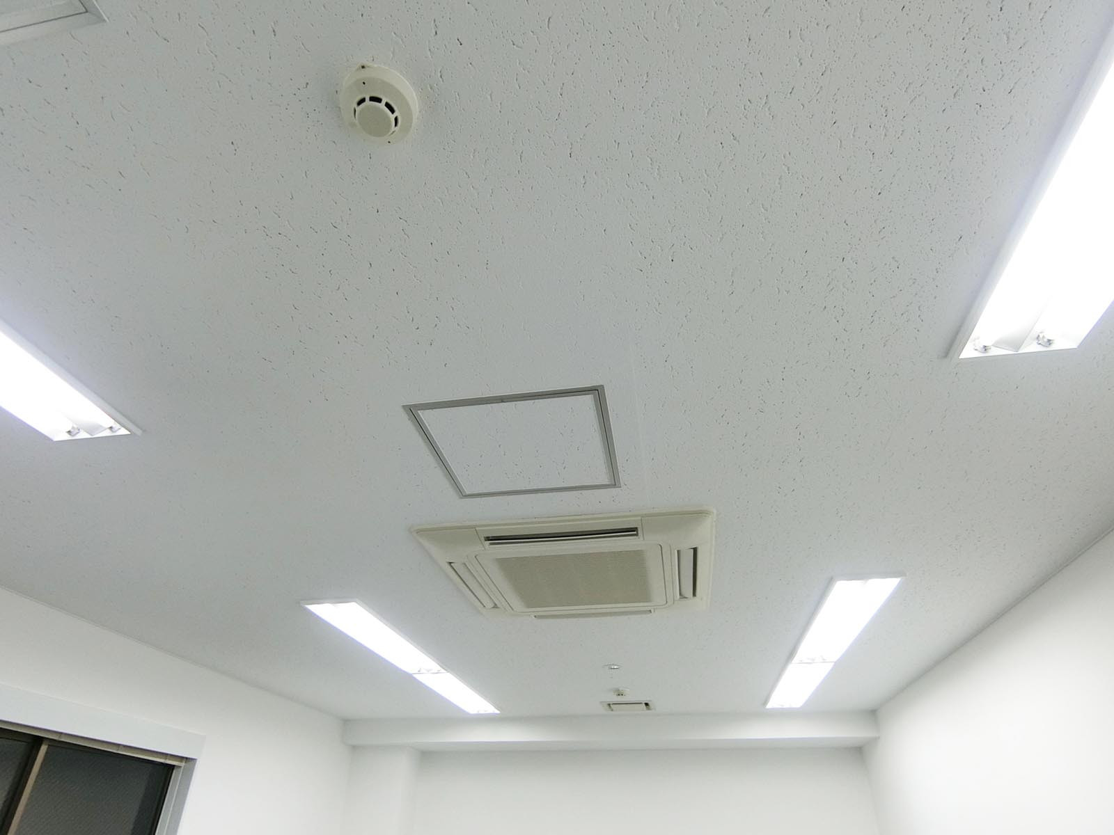 天井の様子