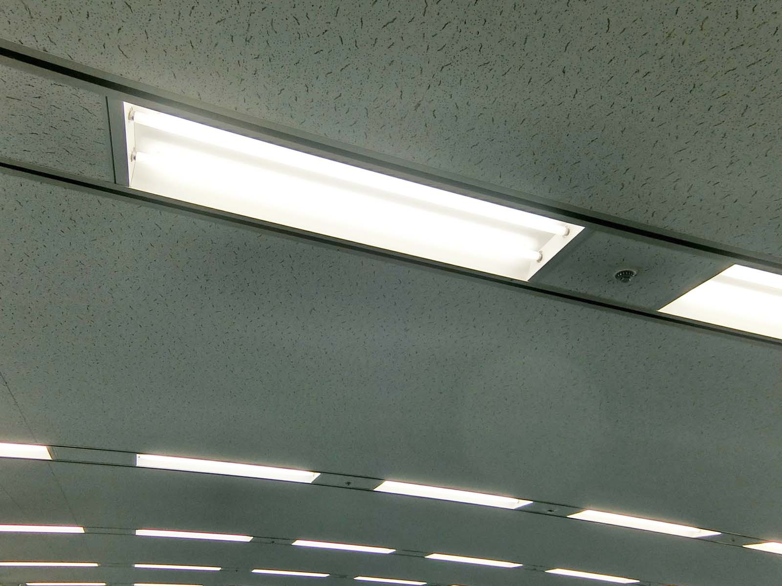 照明