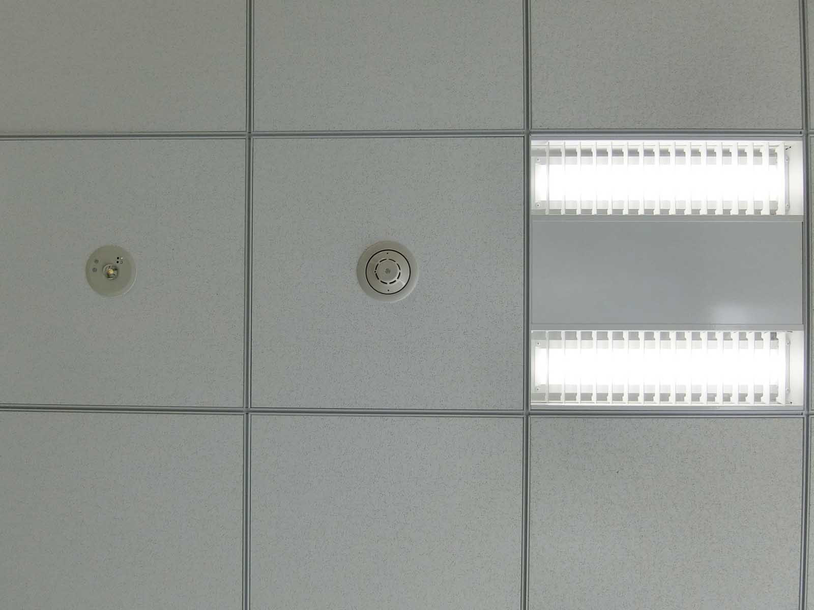 照明