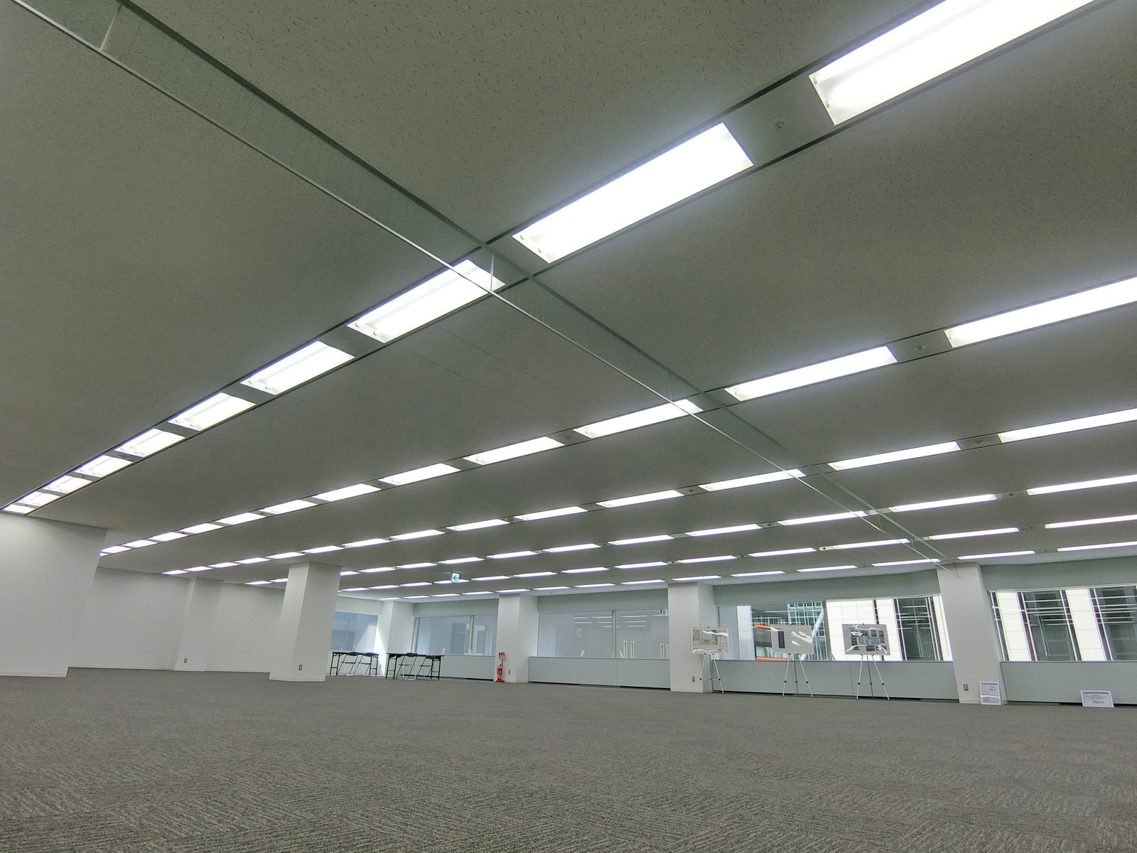 天井の様子