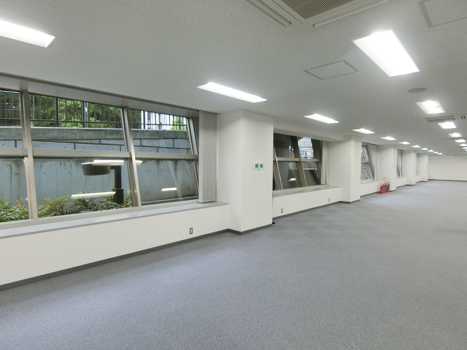 窓際の様子