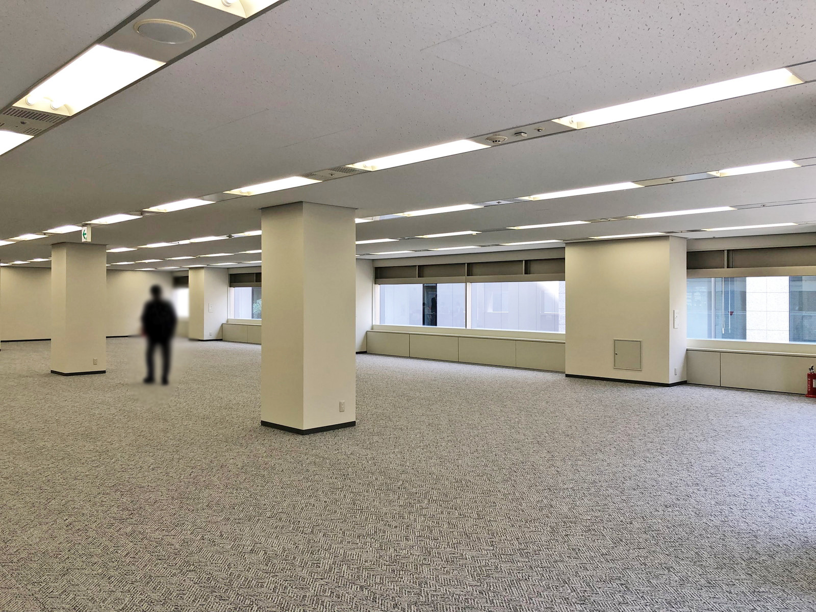 別角度の様子