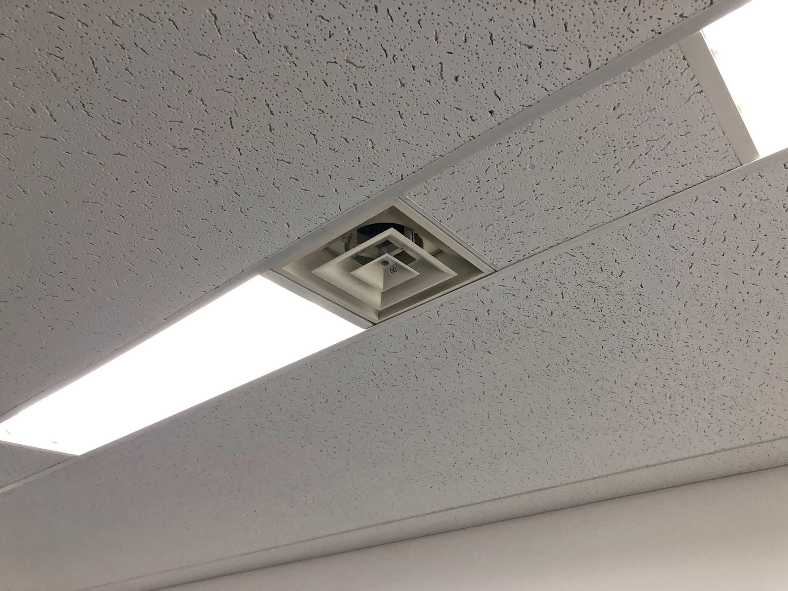 天井の様子