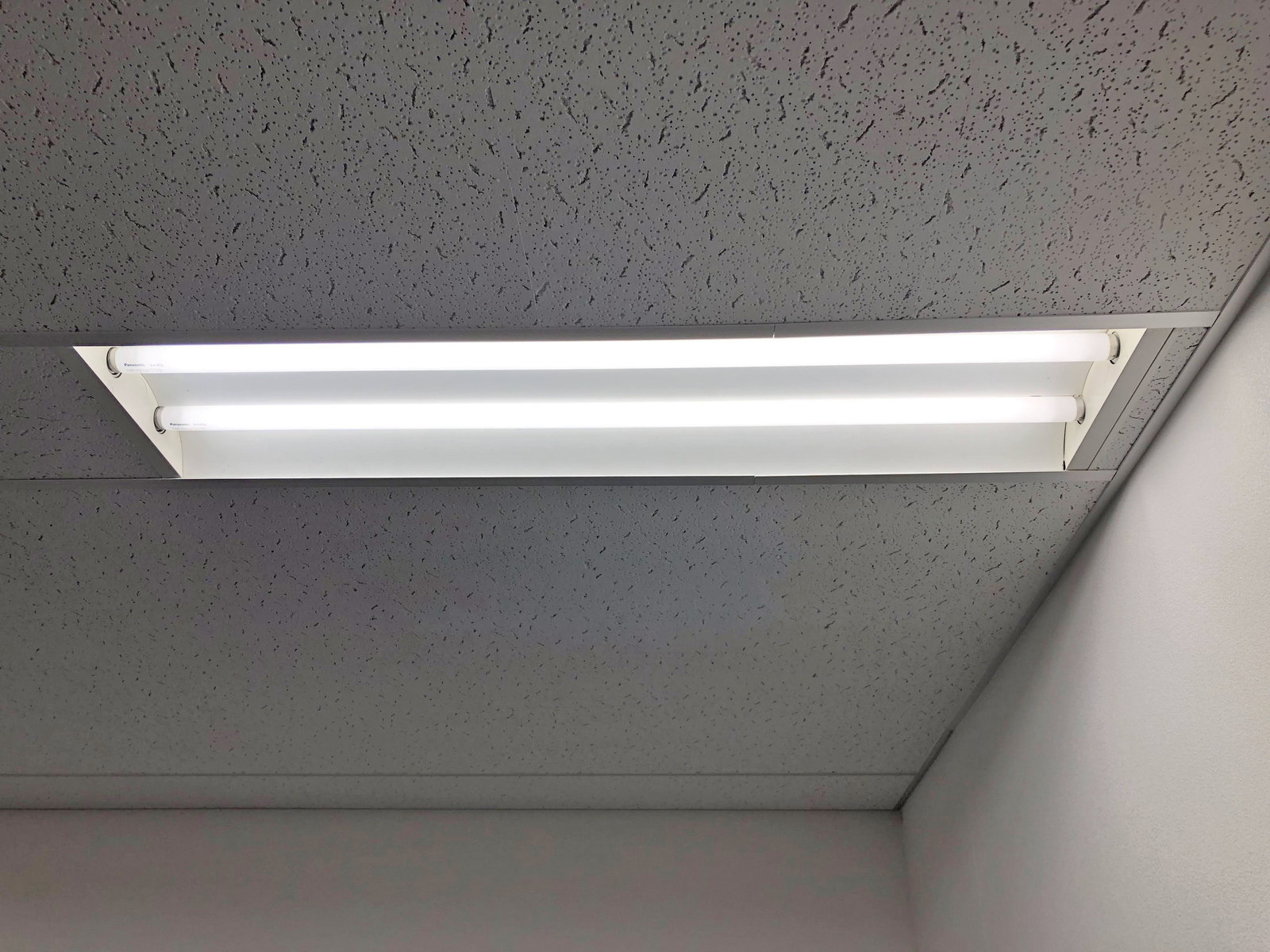 電灯