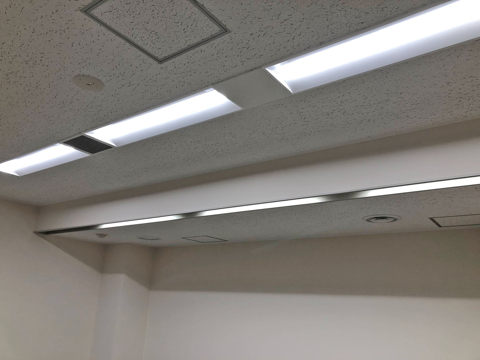 電灯