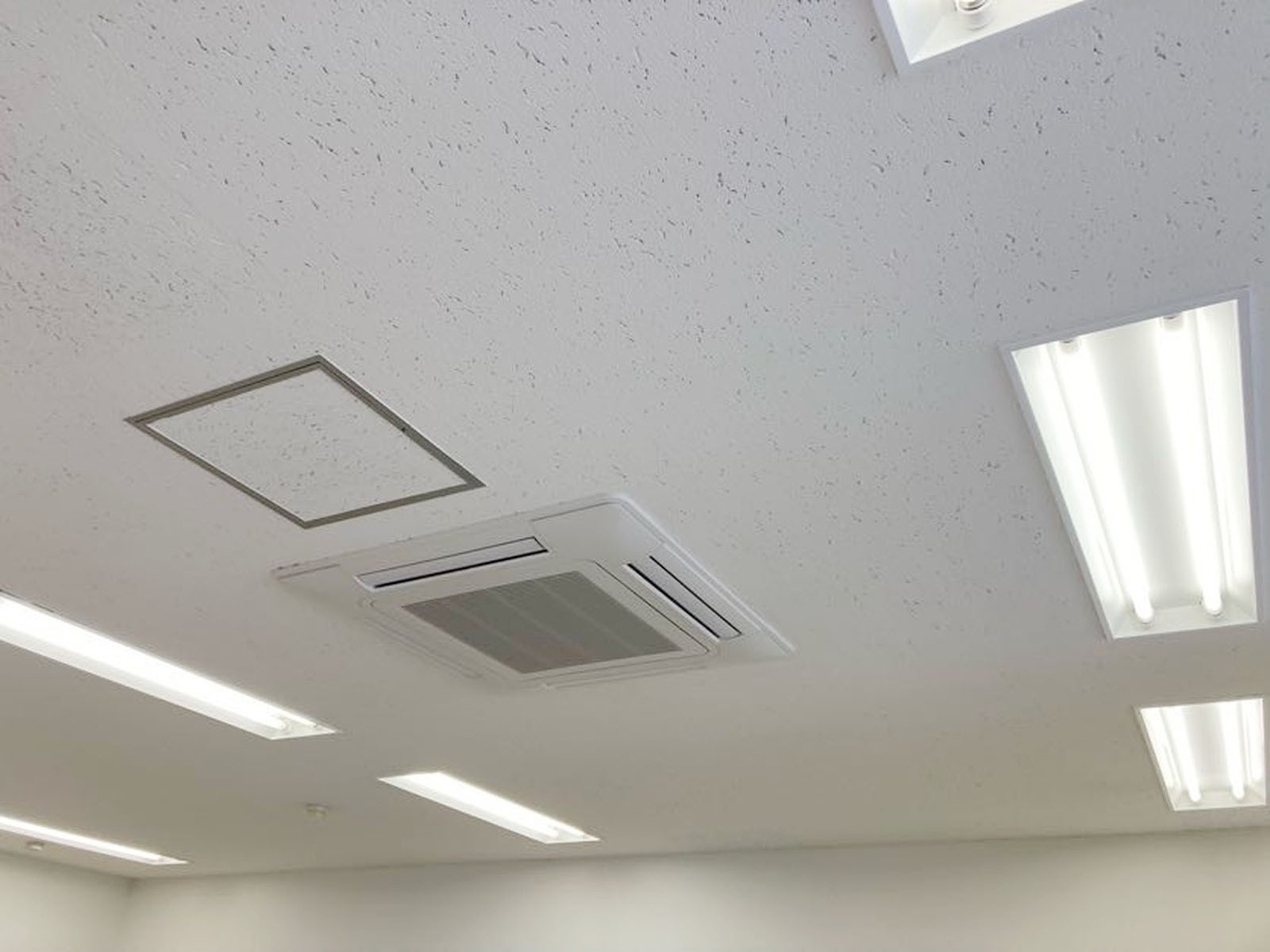 天井の様子