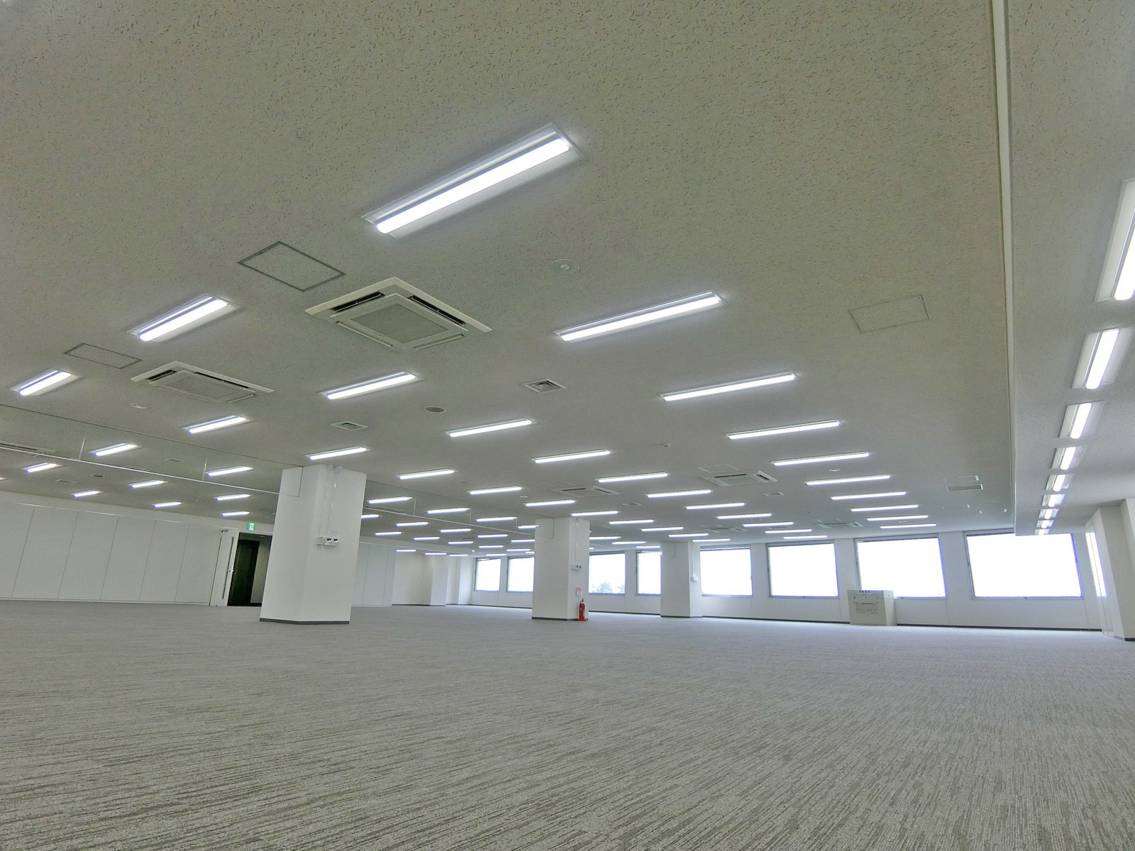 天井の様子