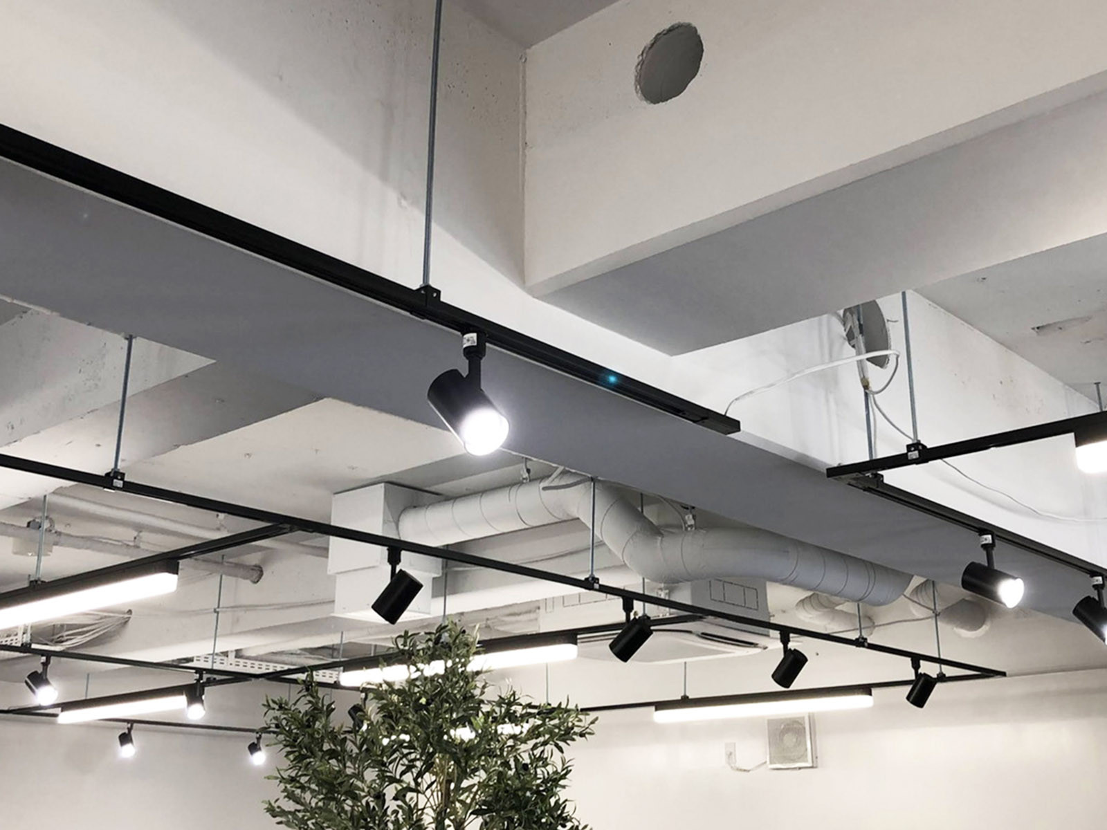 照明