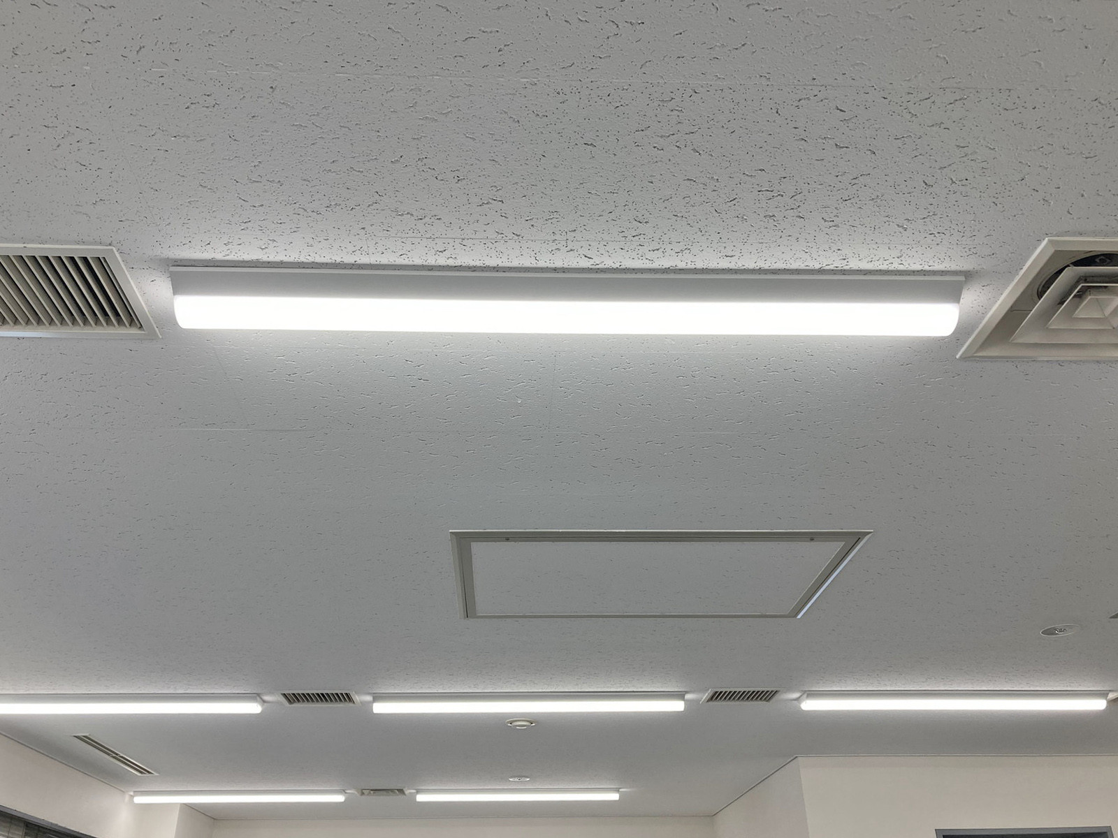 天井の様子