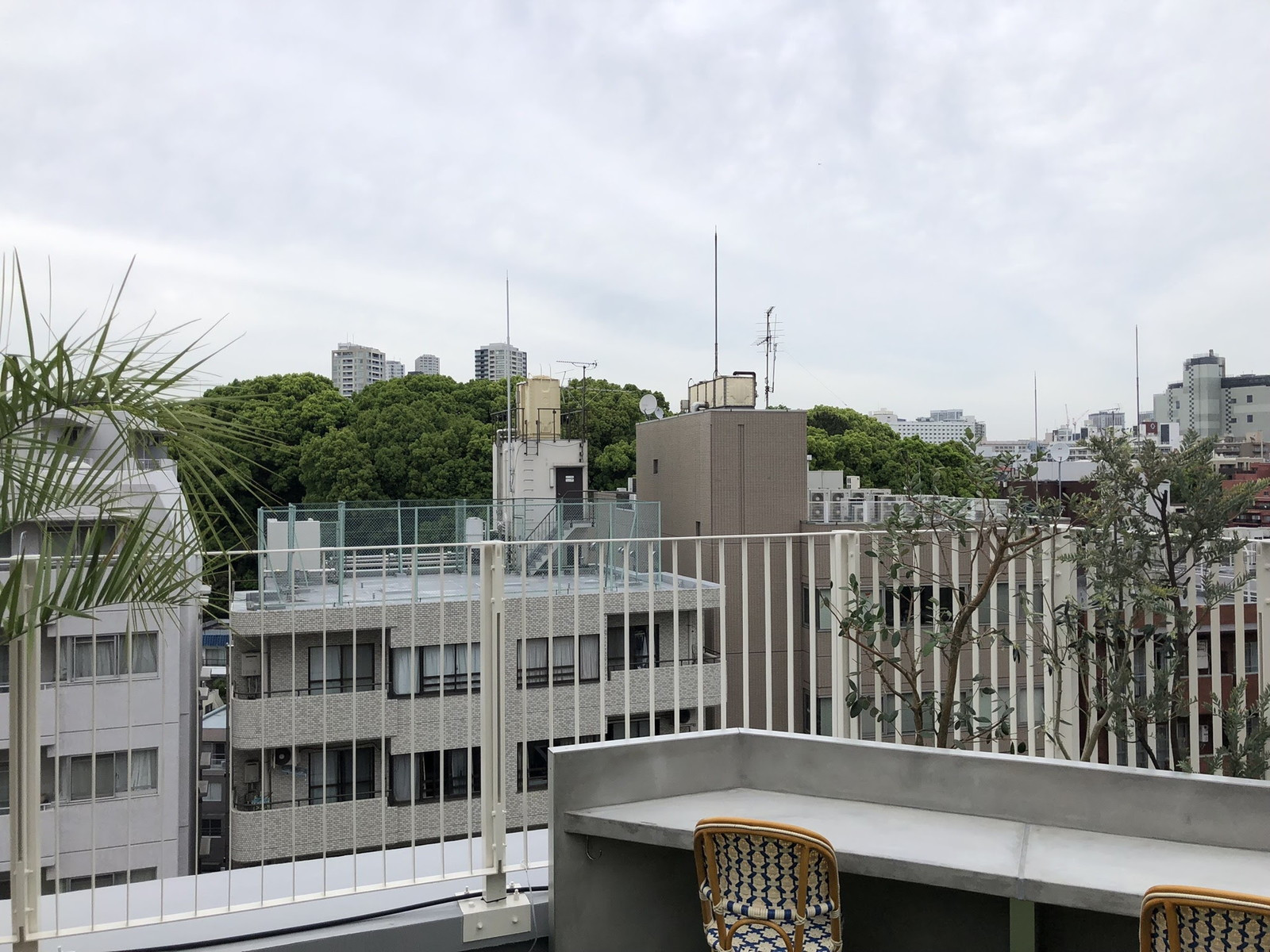 屋上からの眺望