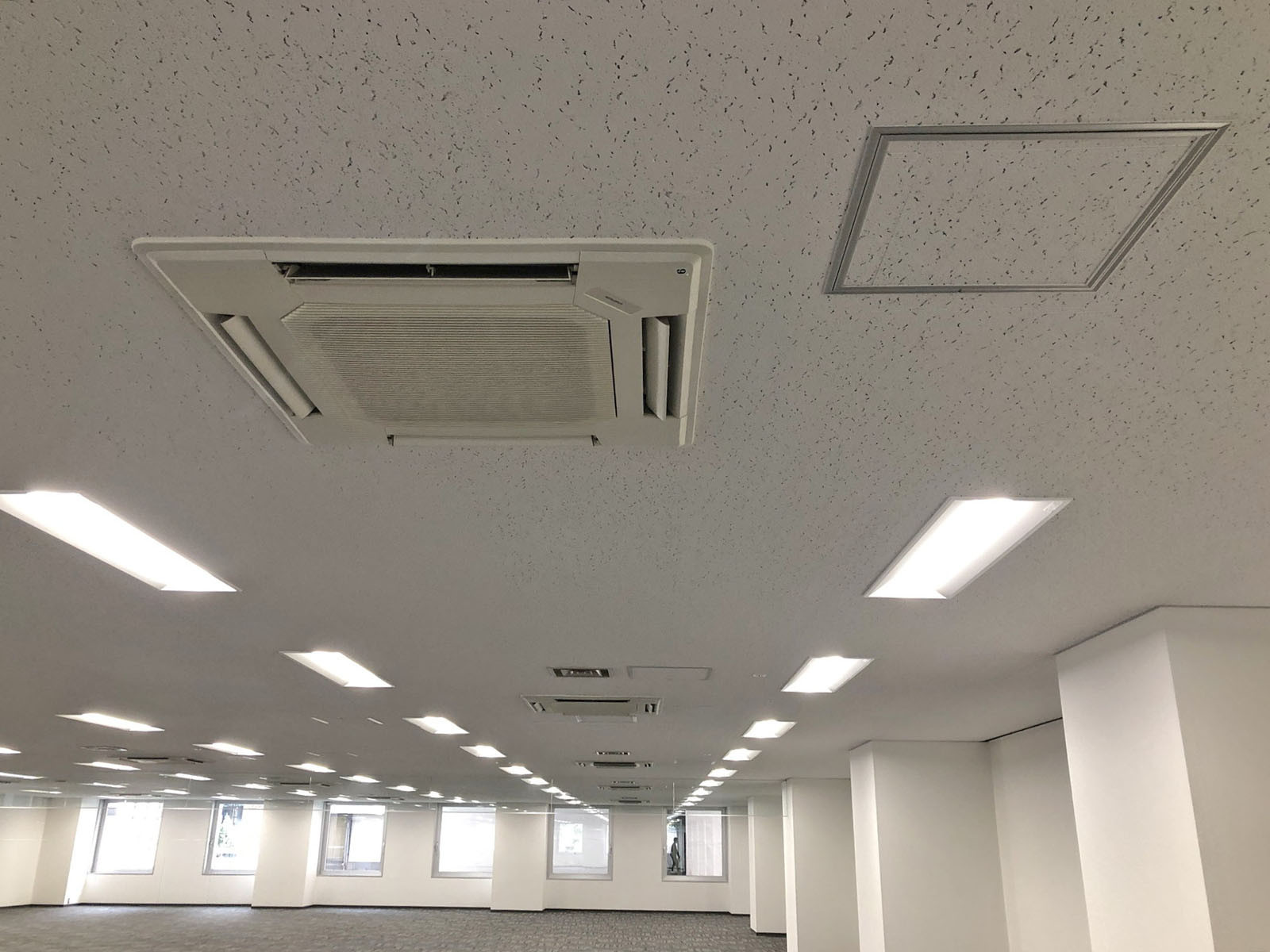 天井の様子