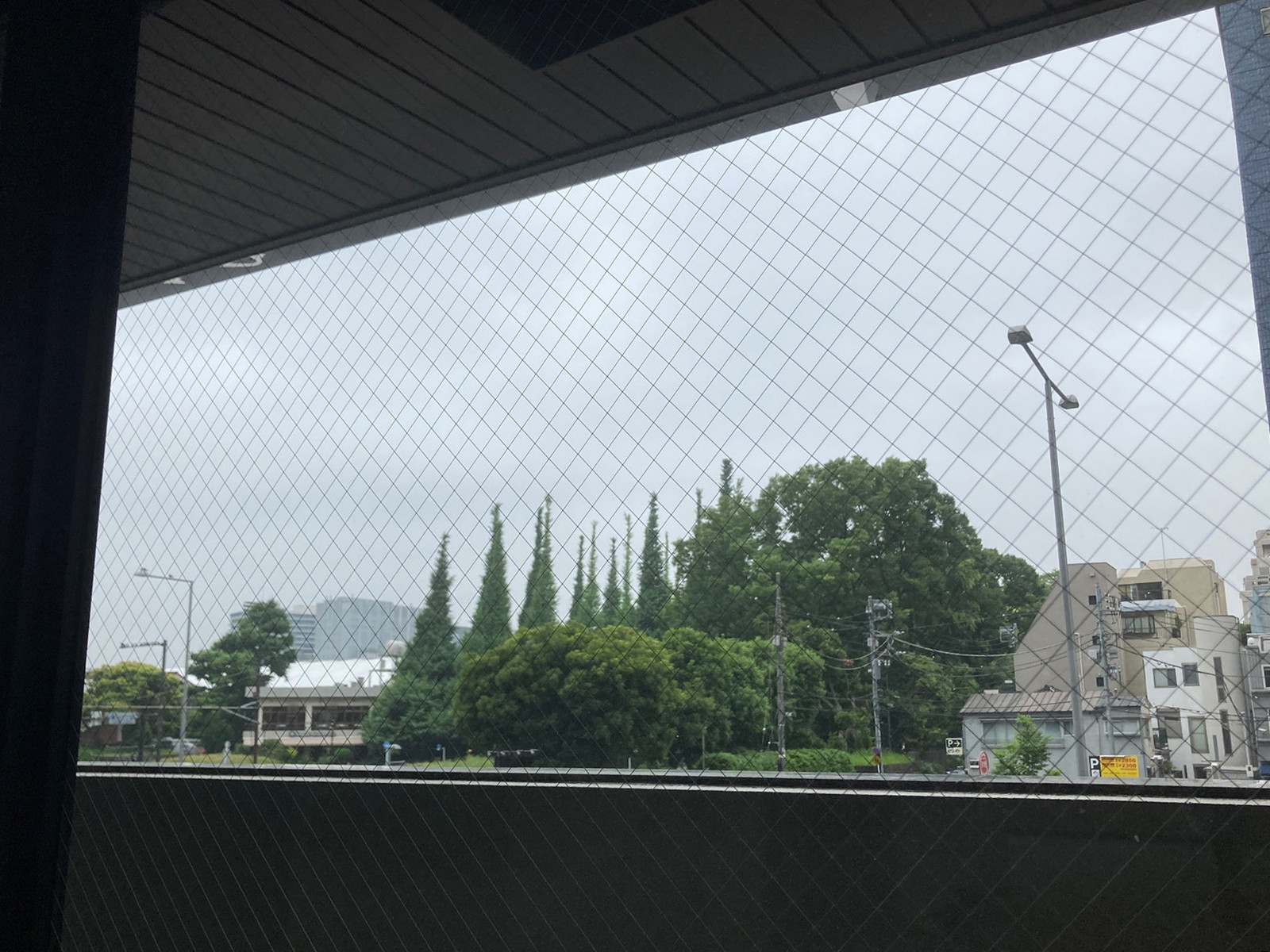 窓際の様子