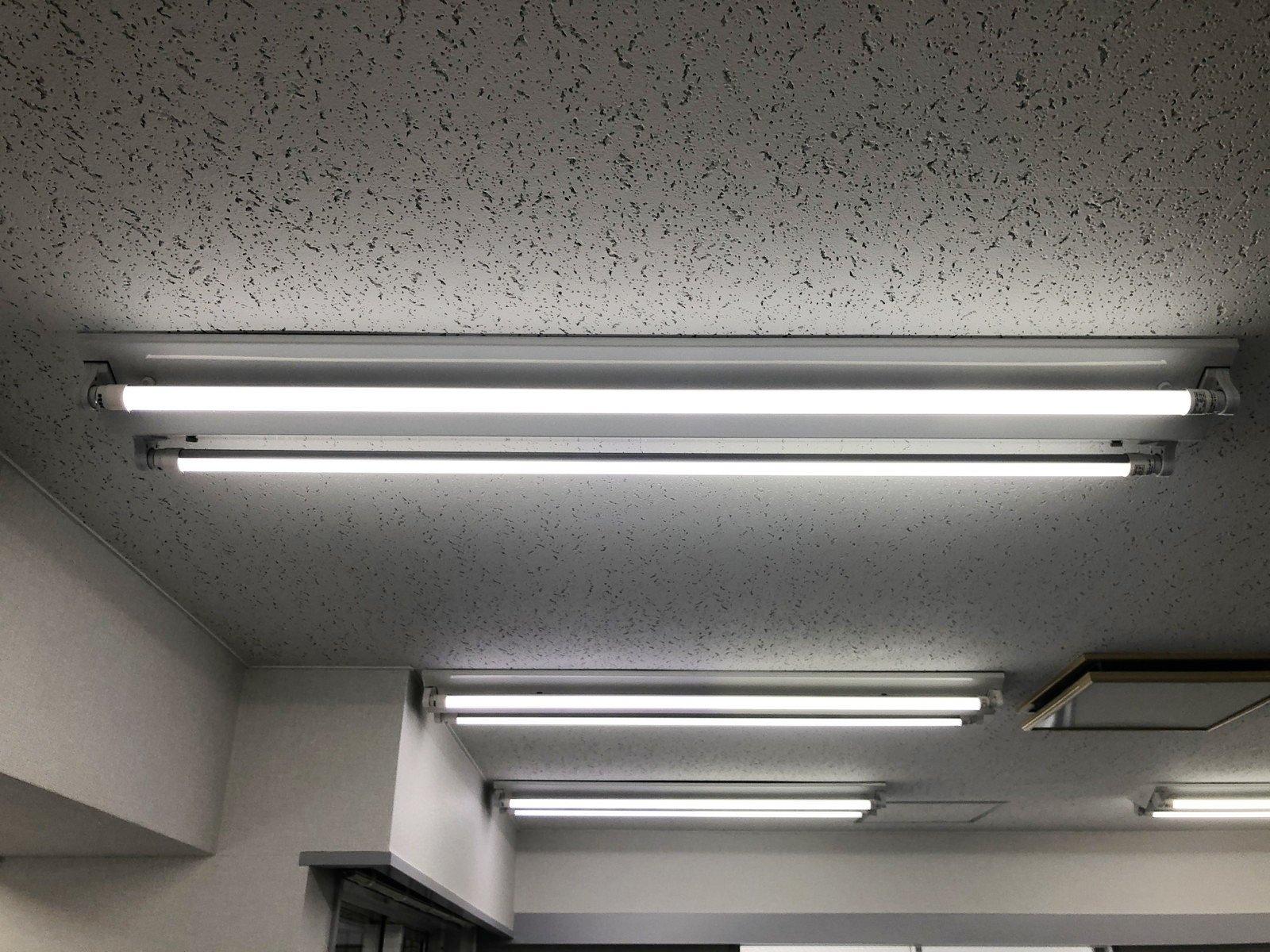照明の様子