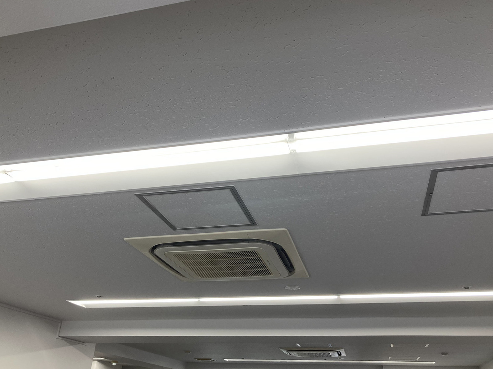 照明の様子
