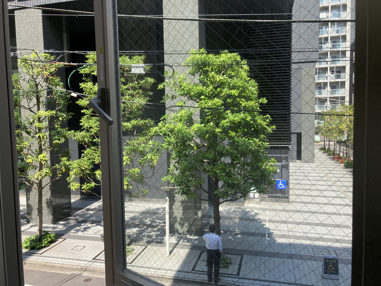 眺望