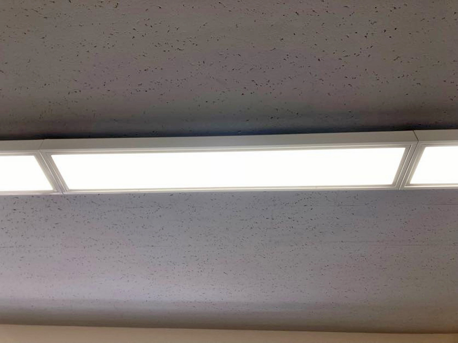 電灯