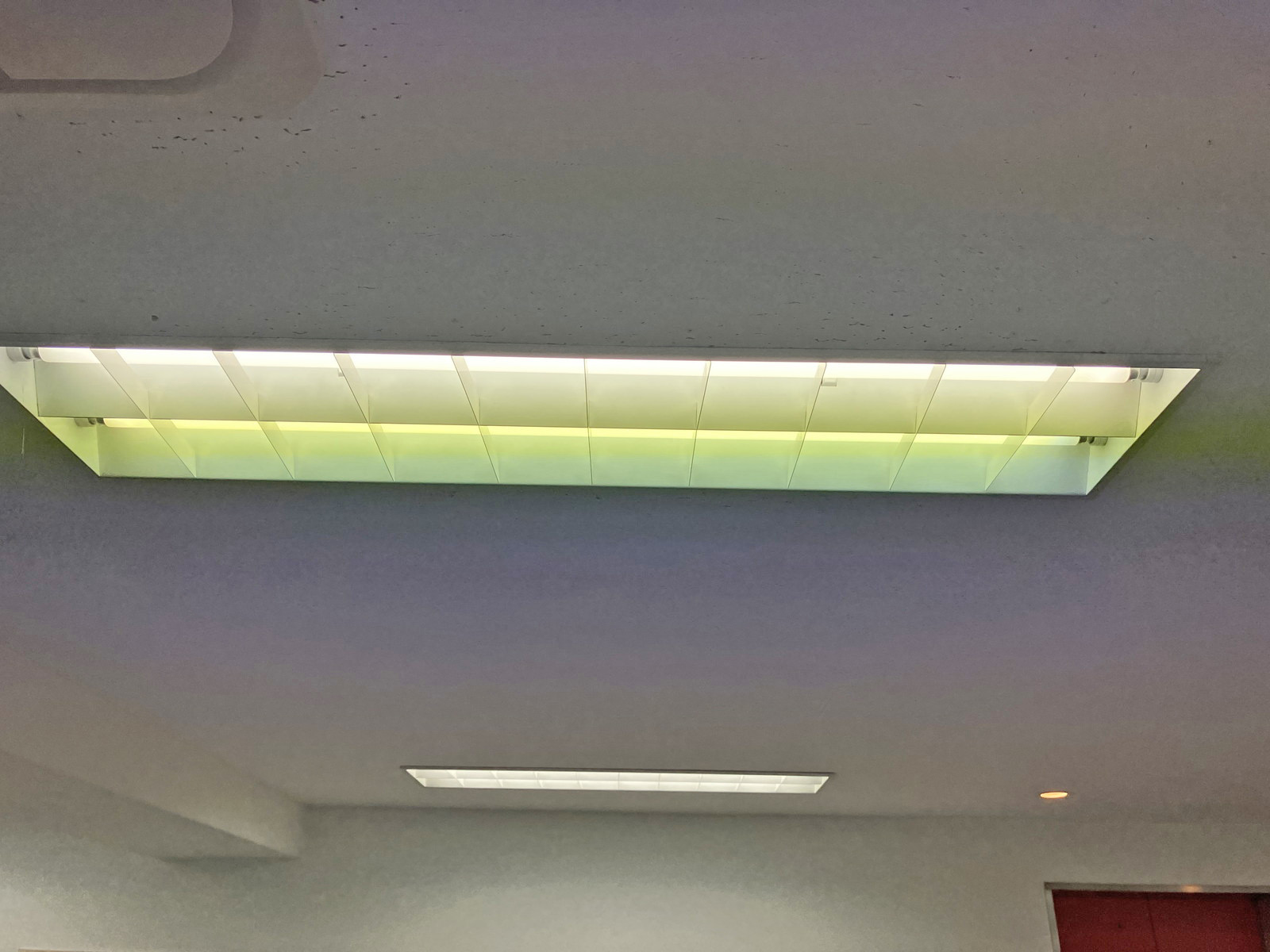 電灯