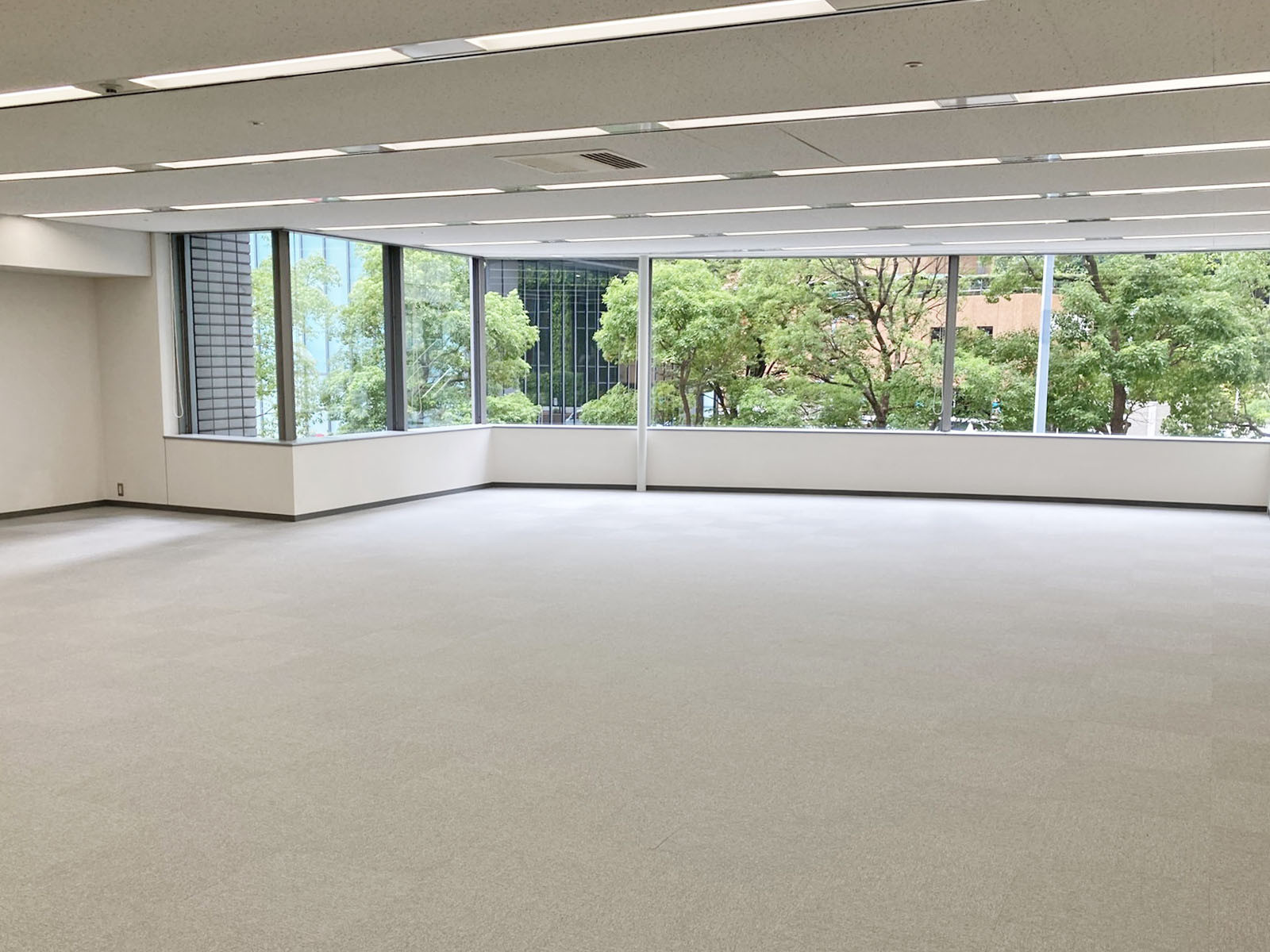 別角度の様子
