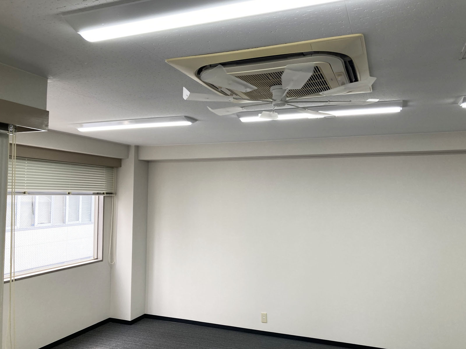 別角度の様子
