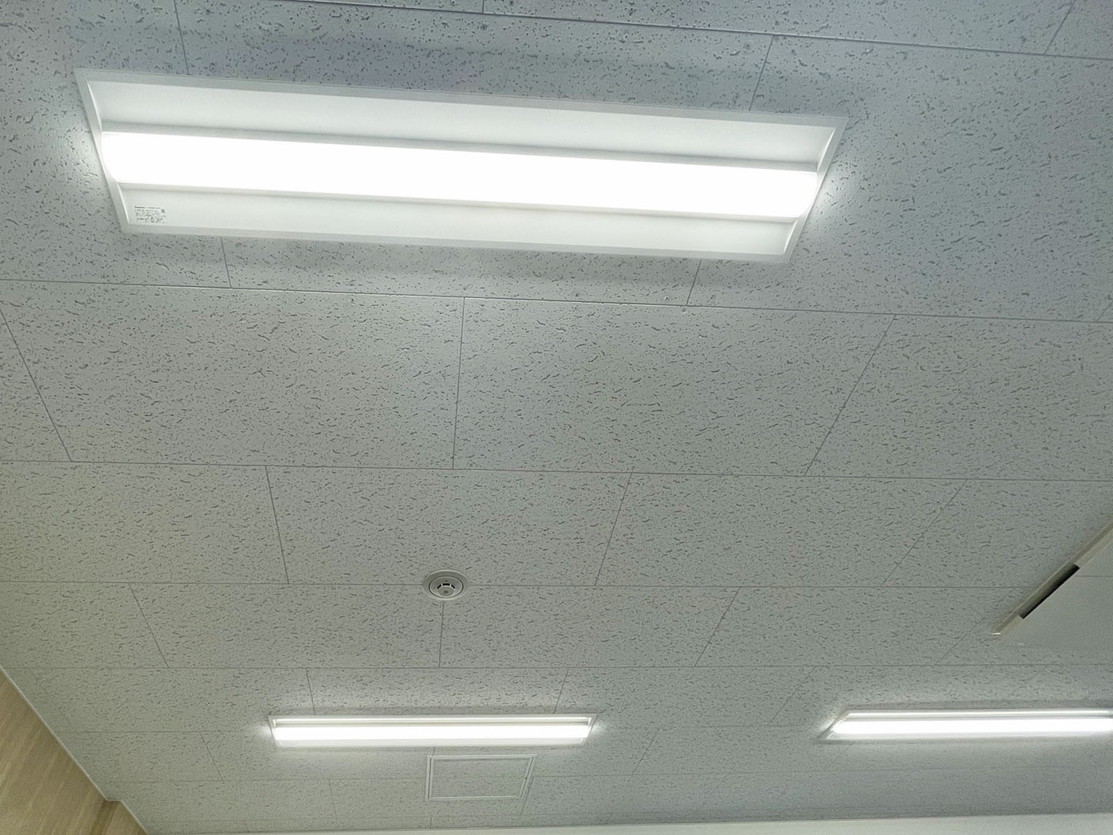 照明